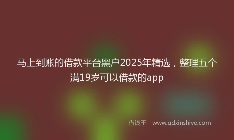 马上到账的借款平台黑户2025年精选，整理五个满19岁可以借款的app