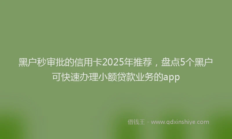 黑户秒审批的信用卡2025年推荐，盘点5个黑户可快速办理小额贷款业务的app