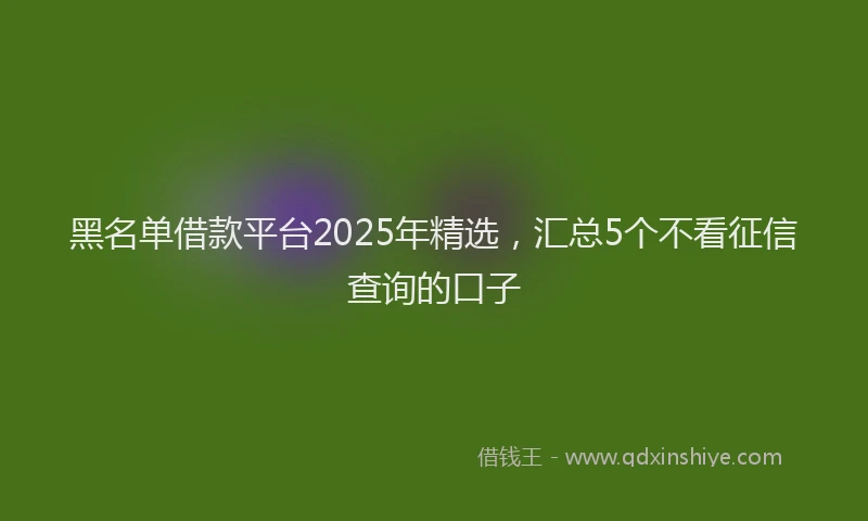 黑名单借款平台2025年精选，汇总5个不看征信查询的口子