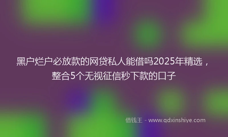 黑户烂户必放款的网贷私人能借吗2025年精选，整合5个无视征信秒下款的口子