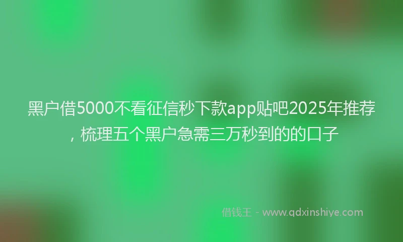 黑户借5000不看征信秒下款app贴吧2025年推荐，梳理五个黑户急需三万秒到的的口子