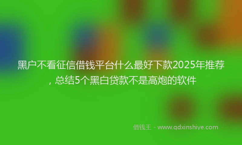 黑户不看征信借钱平台什么最好下款2025年推荐，总结5个黑白贷款不是高炮的软件