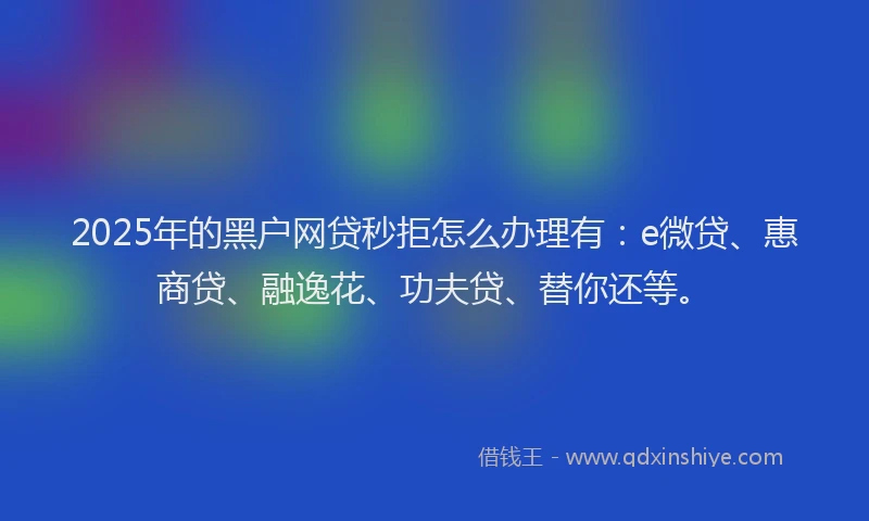 2025年的黑户网贷秒拒怎么办理有：e微贷、惠商贷、融逸花、功夫贷、替你还等。