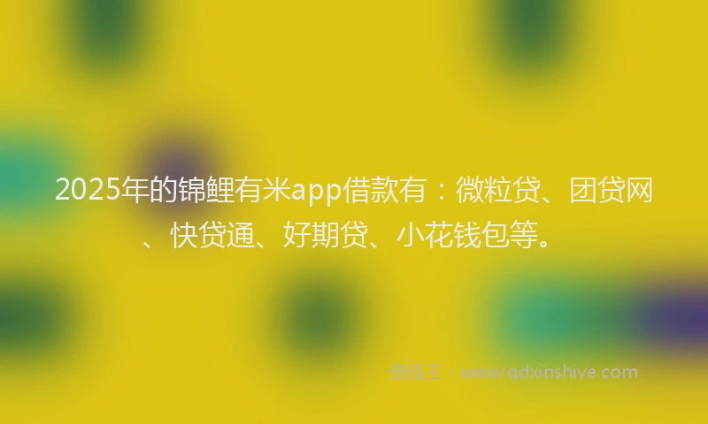 2025年的锦鲤有米app借款有：微粒贷、团贷网、快贷通、好期贷、小花钱包等。