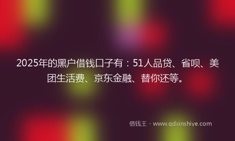 2025年的黑户借钱口子有：51人品贷、省呗、美团生活费、京东金融、替你还等。