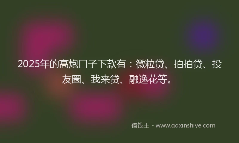 2025年的高炮口子下款有：微粒贷、拍拍贷、投友圈、我来贷、融逸花等。