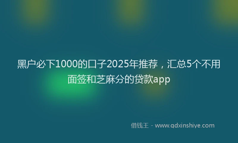 黑户必下1000的口子2025年推荐，汇总5个不用面签和芝麻分的贷款app