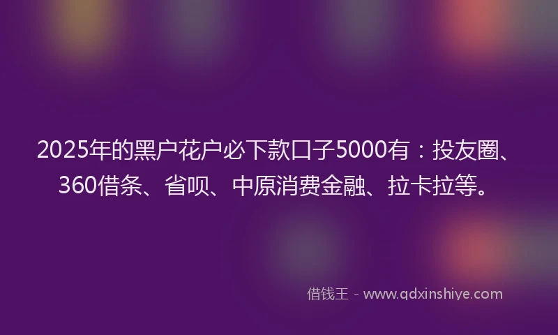 2025年的黑户花户必下款口子5000有：投友圈、360借条、省呗、中原消费金融、拉卡拉等。
