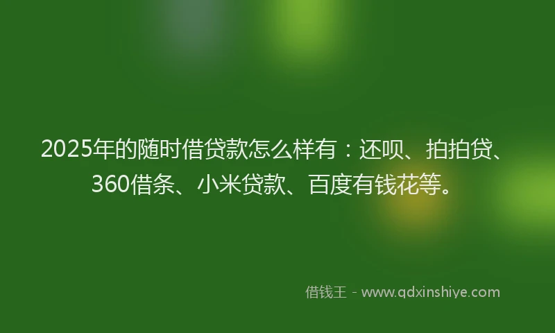 2025年的随时借贷款怎么样有：还呗、拍拍贷、360借条、小米贷款、百度有钱花等。