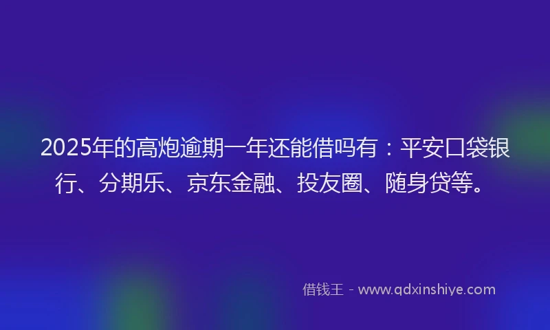 2025年的高炮逾期一年还能借吗有：平安口袋银行、分期乐、京东金融、投友圈、随身贷等。