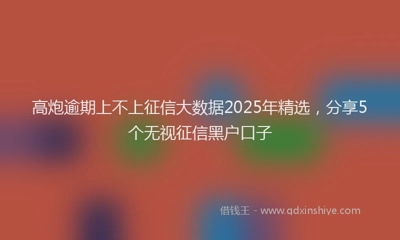 高炮逾期上不上征信大数据2025年精选，分享5个无视征信黑户口子