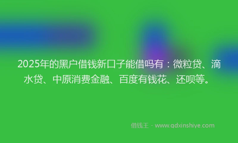 2025年的黑户借钱新口子能借吗有：微粒贷、滴水贷、中原消费金融、百度有钱花、还呗等。