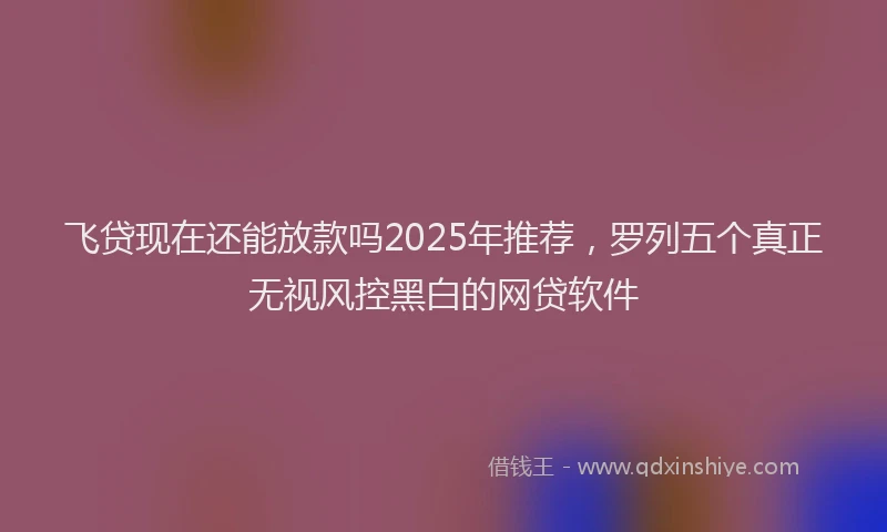 飞贷现在还能放款吗2025年推荐，罗列五个真正无视风控黑白的网贷软件