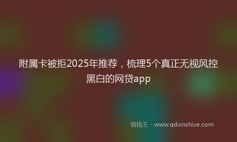 附属卡被拒2025年推荐，梳理5个真正无视风控黑白的网贷app