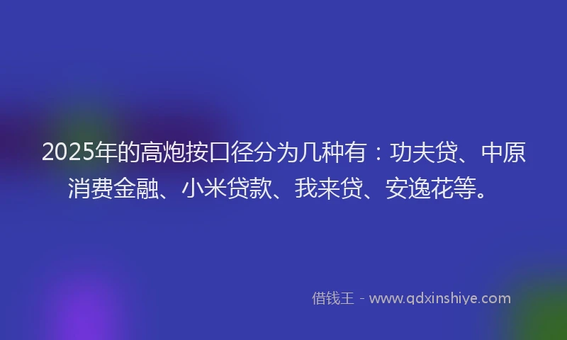 2025年的高炮按口径分为几种有：功夫贷、中原消费金融、小米贷款、我来贷、安逸花等。