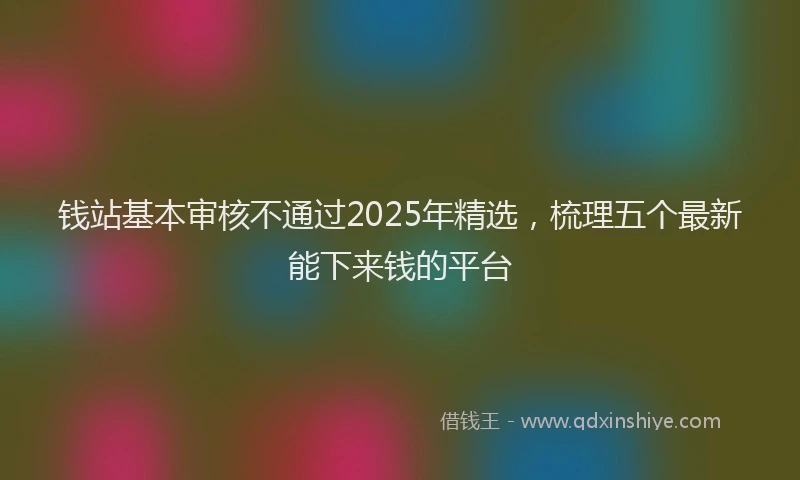 钱站基本审核不通过2025年精选，梳理五个最新能下来钱的平台