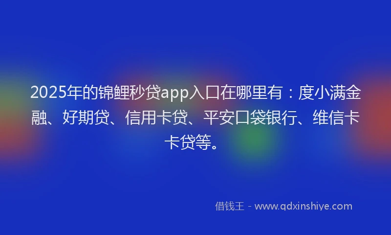 2025年的锦鲤秒贷app入口在哪里有：度小满金融、好期贷、信用卡贷、平安口袋银行、维信卡卡贷等。