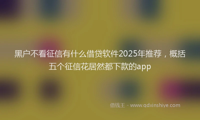 黑户不看征信有什么借贷软件2025年推荐，概括五个征信花居然都下款的app