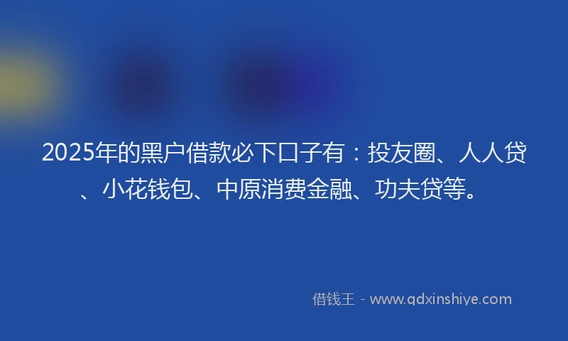 2025年的黑户借款必下口子有：投友圈、人人贷、小花钱包、中原消费金融、功夫贷等。
