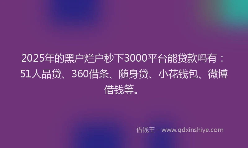 2025年的黑户烂户秒下3000平台能贷款吗有：51人品贷、360借条、随身贷、小花钱包、微博借钱等。