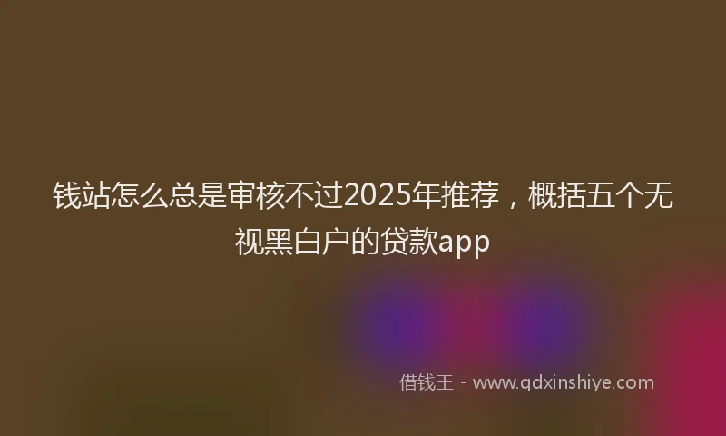 钱站怎么总是审核不过2025年推荐，概括五个无视黑白户的贷款app