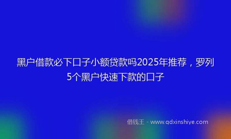 黑户借款必下口子小额贷款吗2025年推荐，罗列5个黑户快速下款的口子