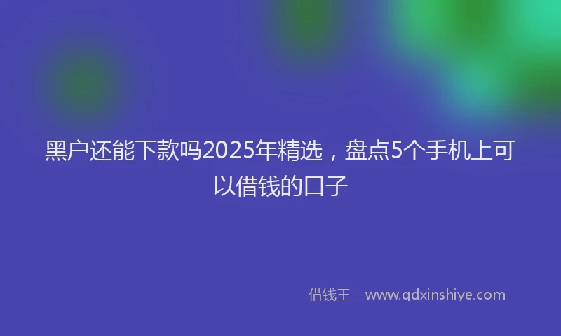 黑户还能下款吗2025年精选，盘点5个手机上可以借钱的口子