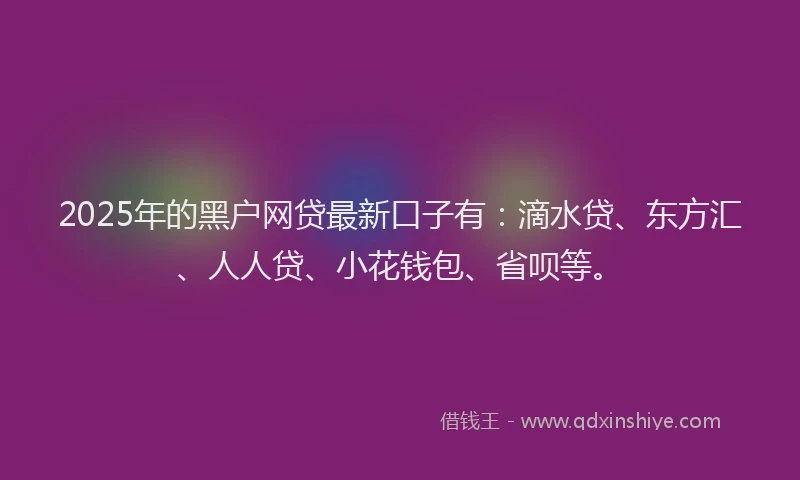 2025年的黑户网贷最新口子有：滴水贷、东方汇、人人贷、小花钱包、省呗等。