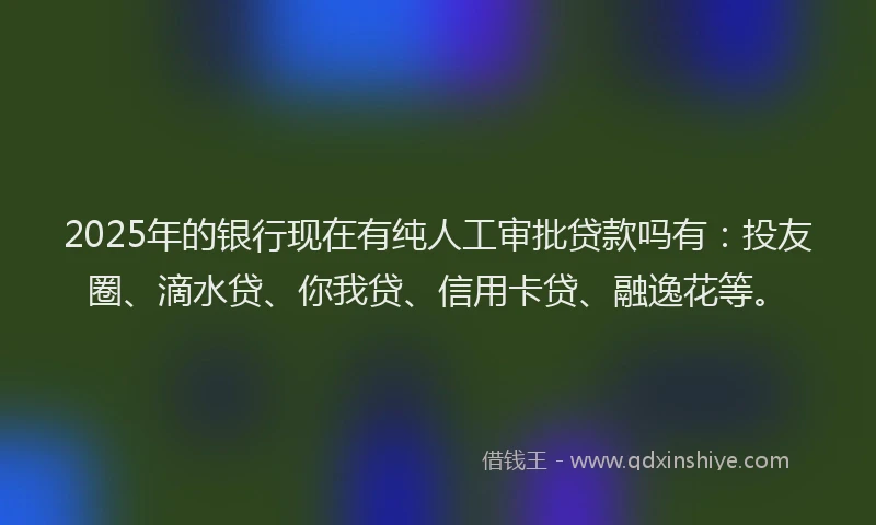 2025年的银行现在有纯人工审批贷款吗有：投友圈、滴水贷、你我贷、信用卡贷、融逸花等。