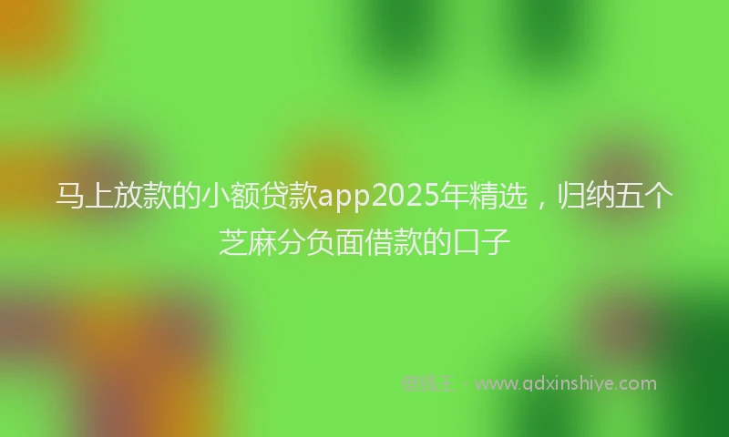马上放款的小额贷款app2025年精选，归纳五个芝麻分负面借款的口子