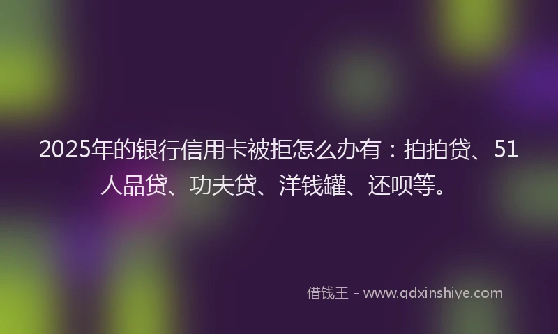 2025年的银行信用卡被拒怎么办有：拍拍贷、51人品贷、功夫贷、洋钱罐、还呗等。