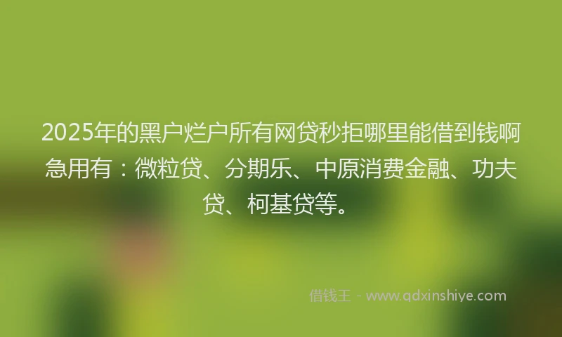 2025年的黑户烂户所有网贷秒拒哪里能借到钱啊急用有：微粒贷、分期乐、中原消费金融、功夫贷、柯基贷等。