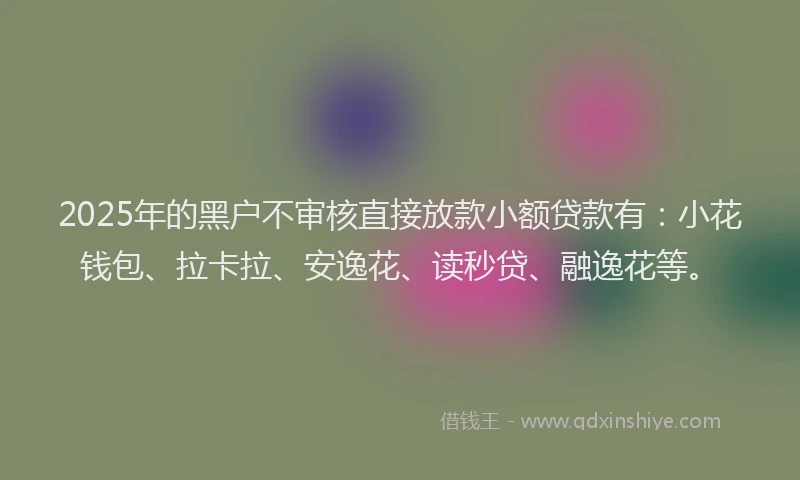 2025年的黑户不审核直接放款小额贷款有：小花钱包、拉卡拉、安逸花、读秒贷、融逸花等。