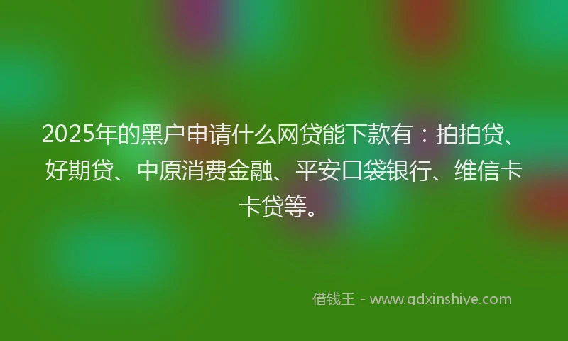 2025年的黑户申请什么网贷能下款有：拍拍贷、好期贷、中原消费金融、平安口袋银行、维信卡卡贷等。