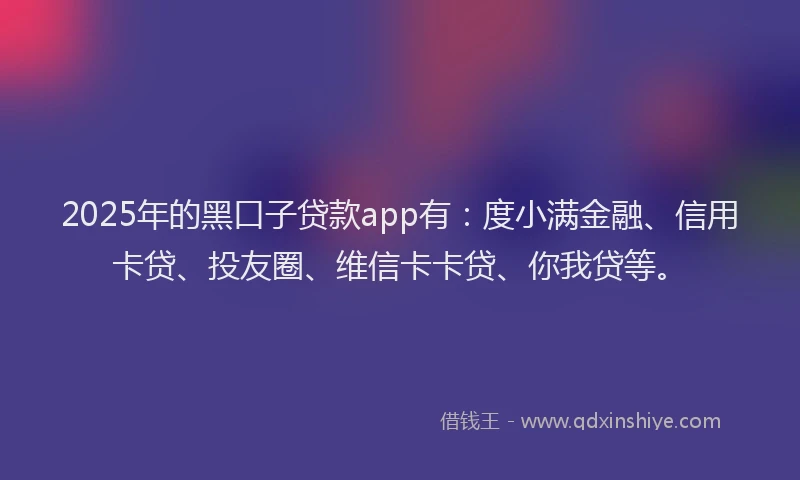 2025年的黑口子贷款app有：度小满金融、信用卡贷、投友圈、维信卡卡贷、你我贷等。