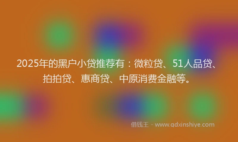 2025年的黑户小贷推荐有：微粒贷、51人品贷、拍拍贷、惠商贷、中原消费金融等。