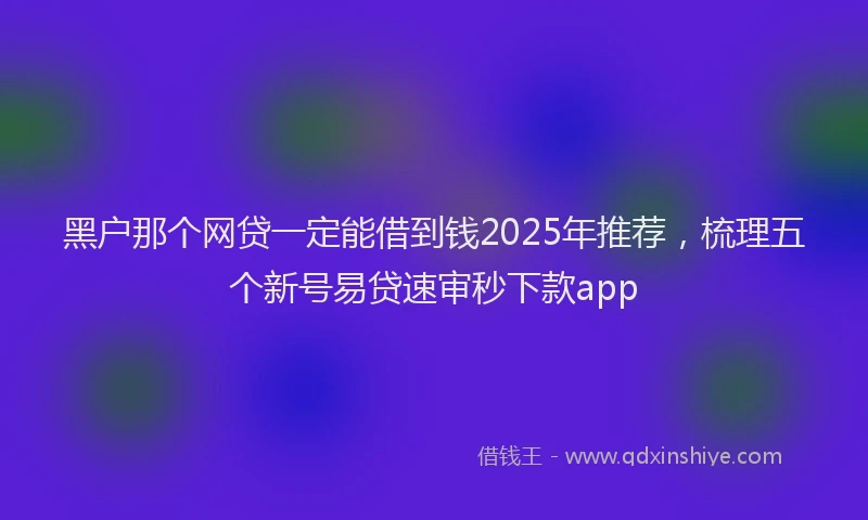 黑户那个网贷一定能借到钱2025年推荐，梳理五个新号易贷速审秒下款app