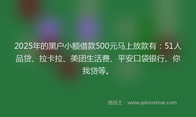 2025年的黑户小额借款500元马上放款有：51人品贷、拉卡拉、美团生活费、平安口袋银行、你我贷等。