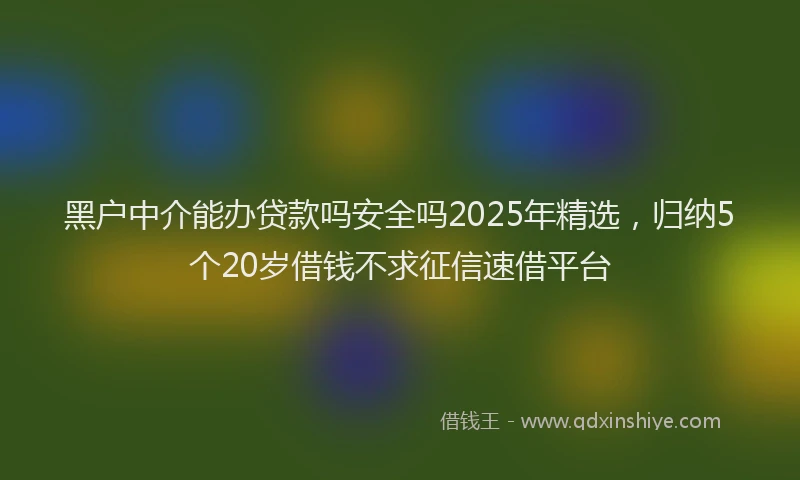 黑户中介能办贷款吗安全吗2025年精选，归纳5个20岁借钱不求征信速借平台
