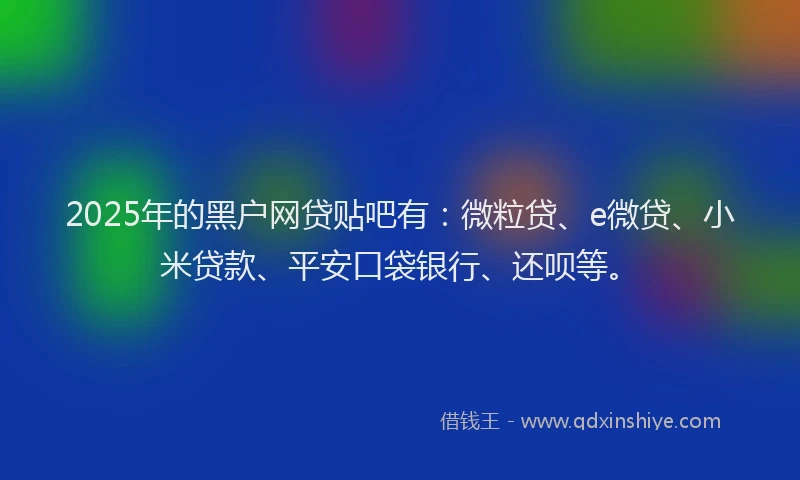 2025年的黑户网贷贴吧有：微粒贷、e微贷、小米贷款、平安口袋银行、还呗等。