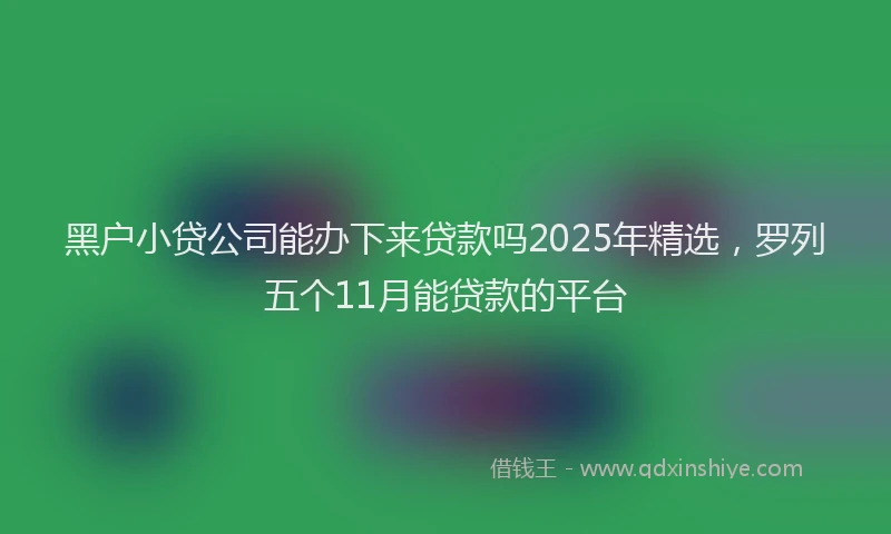 黑户小贷公司能办下来贷款吗2025年精选，罗列五个11月能贷款的平台