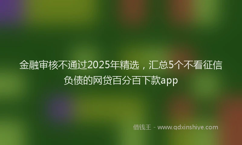 金融审核不通过2025年精选，汇总5个不看征信负债的网贷百分百下款app