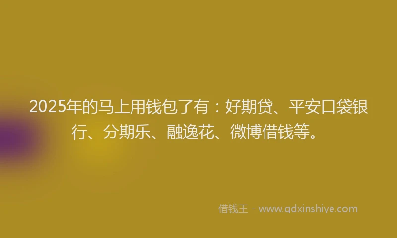 2025年的马上用钱包了有：好期贷、平安口袋银行、分期乐、融逸花、微博借钱等。