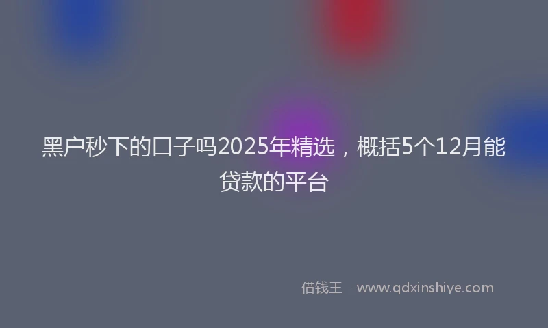 黑户秒下的口子吗2025年精选，概括5个12月能贷款的平台