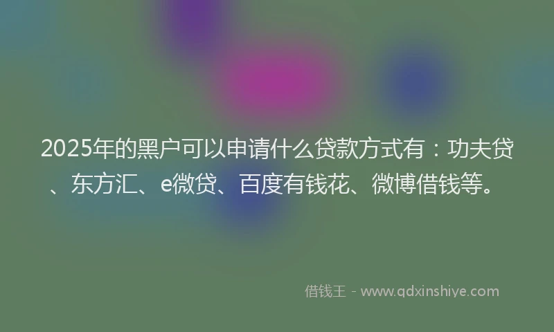 2025年的黑户可以申请什么贷款方式有：功夫贷、东方汇、e微贷、百度有钱花、微博借钱等。