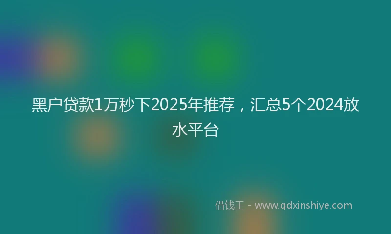 黑户贷款1万秒下2025年推荐，汇总5个2024放水平台