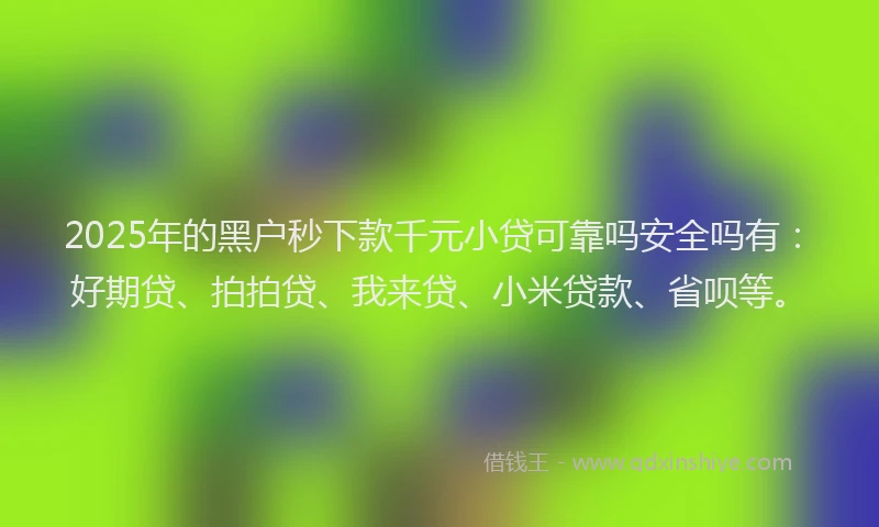 2025年的黑户秒下款千元小贷可靠吗安全吗有：好期贷、拍拍贷、我来贷、小米贷款、省呗等。
