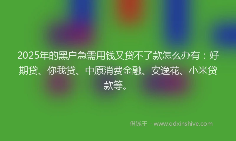 2025年的黑户急需用钱又贷不了款怎么办有：好期贷、你我贷、中原消费金融、安逸花、小米贷款等。