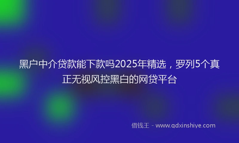 黑户中介贷款能下款吗2025年精选，罗列5个真正无视风控黑白的网贷平台