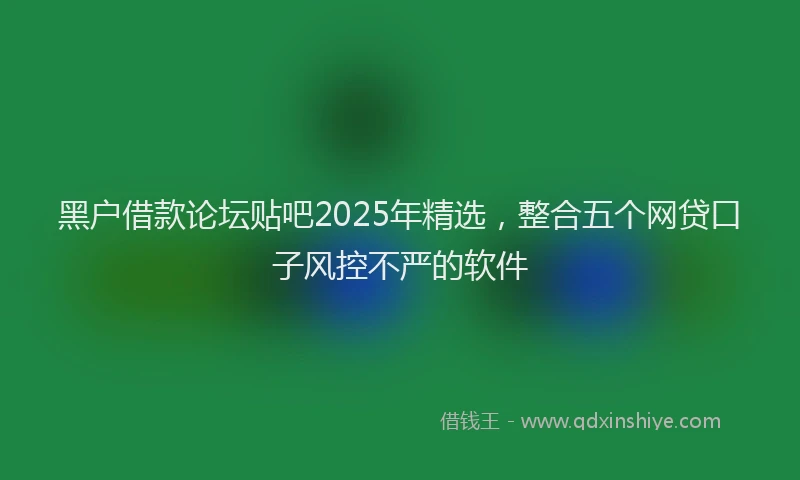 黑户借款论坛贴吧2025年精选，整合五个网贷口子风控不严的软件